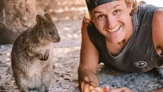 ROTTNEST ISLAND Day Trip - What is SO SPECIAL about this place? | Van life in Western Australia Ep.8