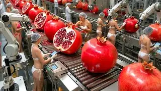 The Robotic Secret Behind Your Pomegranate Juice