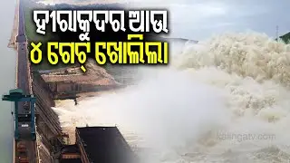 ହୀରାକୁଦର ଆଉ ୪ ଗେଟ୍ ଖୋଲିଲା | Hirakud Dam opens four more gates to release floodwater | Kalinga TV