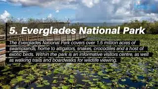 Top 10 Places To Visit On Your Next Miami Tour
