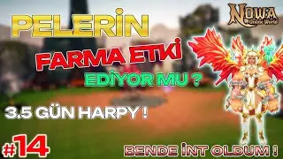 🧙&zwj;♂️ PELERİN GER&Ccedil;EKTEN İŞ YAPIYOR MU? | +3 G&Uuml;N HARPY FARM TESTİ | Nowa Online World