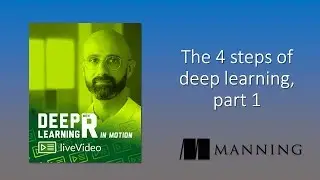 Deep Learning with R in Motion: the 4 steps of deep learning, part 1