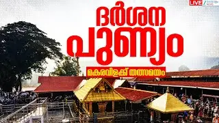 Live : Sabarimala Live Today  | ദർശന പുണ്യം : Makara Jyothi Darshanam തത്സമയം | Zee Malayalam News