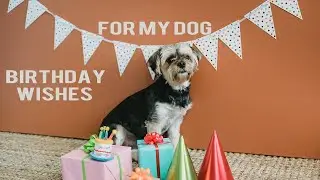 Dog Birthday Wishes || Happy Birthday To My Dog