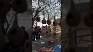 🐦 Birds Voice whistle sitti 📯📢 Suraj Kund Mela Faridabad HR Tourism (1)
