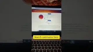 watch instagram Stories anonymously and download