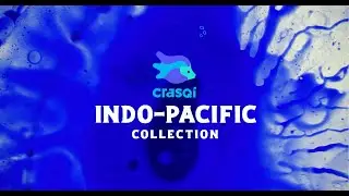 CRASQI INDO-PACIFIC COLLECTION