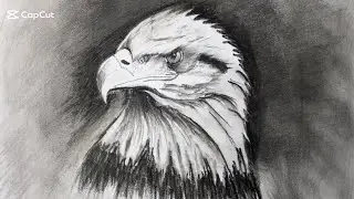 How To Draw an Eagle Face | Kids Art