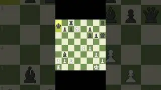 Mate in 3 #chesstactics #chess #matein3 #checkmate #chesstricksandtraps #chesspuzzle #chesslife