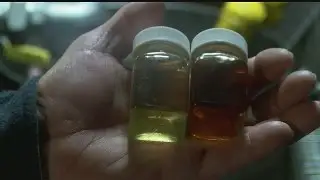 Up and down flow of sap and temperature changing winter batch