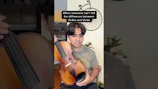 ヴァイオリン対ヴィオラ🎻