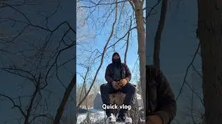 Tree stump vlog #winter #trending #lifestyle #lifestylemoment