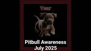 Pitbull Awareness video 2025 #animateddesign #design #pitbulldog #wreckless #graphicdesign