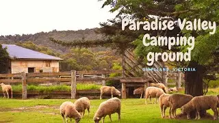 A Family Friendly Find || Paradise Valley || VICTORIA TOURING