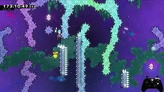 celeste チャプター9　金苺（the golden strawberry for chapter 9）