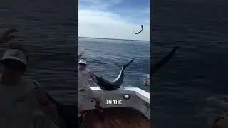 SwordFish Almost Takes Mans Life! 😱🐟