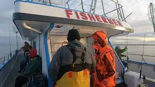 Ловля полосатого окуня в Fishermen, Атлантик-Хайлендс, Нью-Джерси, на катере-вечеринке, 25 ноября...