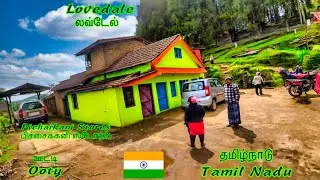 🛣️ Lovedale | Pichaikani Stores (Pitcheez) ➔ Krishnar Kovil  | 🏔️ Nilgiris  Ride with Vagabond