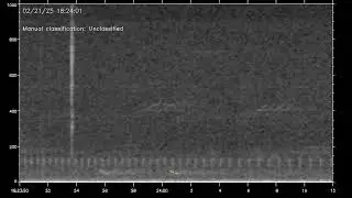 Possible sei whale recorded in the U.S. Virgin Islands