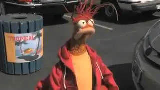 Pepe The King Prawn[Tropical Taco][Drive-Through]