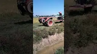 Tractor transport rice