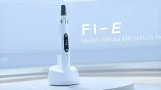 Fi-E, syst&egrave;me d'obturation &agrave; chaud pour la Gutta-Percha de Woodpecker