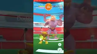 Machamp Solo (Counter + Dynamic Punch)