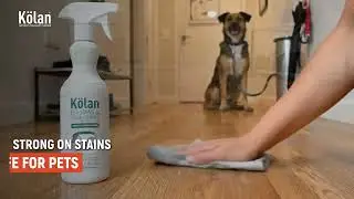 How to Clean Muddy Paw Prints & Pet Stains Easily #kolanindia #cleaning #petlover #viralreels