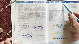 Gene and Allele || Genotype || Homozygous and Heterozygous | Inheritance Unit 15 || Biology Grade 10