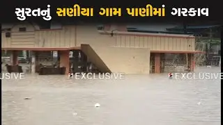 Surat Heavy Rain : સુરતનું સણીયા ગામ પાણીમાં ગરકાવ | Monsoon In Gujarat | Heavy Rain | Rain Forecast