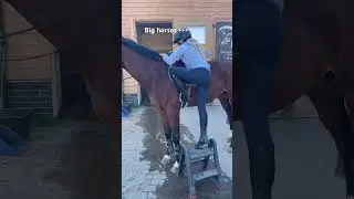 Uwielbiam wysokie konie😫💋ale upadki z nich już nie🙂 #horse #fyp #ytshorts #equestrian