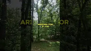 0.12 Acres for Sale in Holbrook, Arizona for $1,530