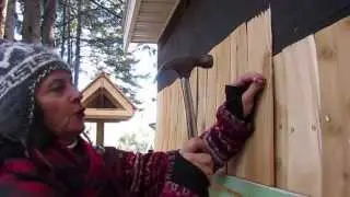 Mon jardin au Québec- coté rénovation #2 Comment poser du bardeaux de cèdre