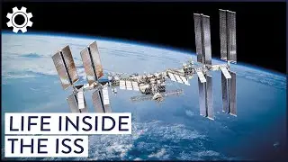Astronaut's Lives Inside The International Space Station, Actually Explained