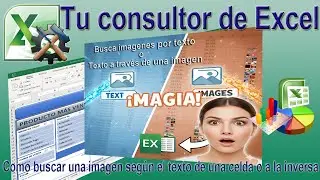 ¡El truco que pocos conocen! Imágenes y texto sincronizados en Excel
