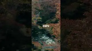 The Three Things I Care About. #LifeTruths #PeaceOfMind #InnerStrength #HardTruths #ViralWisdom