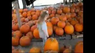 Pumpkin Patch 2009