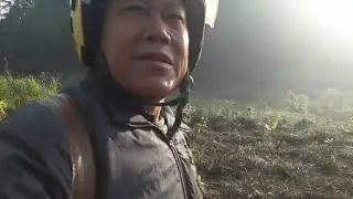 Tiếp tục trồng sâm đất đào mương chống ngập úng con ngựa bạch ăn cỏ voi ngon lành nhìn mắt xanh đét