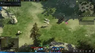 Lost Ark bot speedhack ?