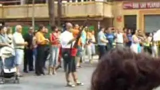 trabucs i dol&ccedil;aines de la Colla XALOC