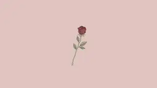 Cotton Vibe - Perfume