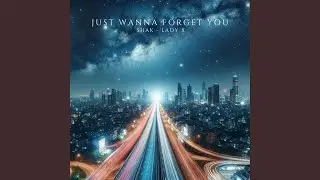 Just Wanna Forget You