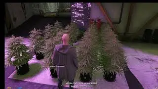 Farm Weed fivem