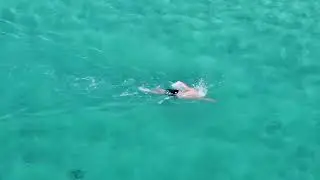 CUC 800m Cayman Islands Open Water - 10 January 2026