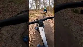 From Dachs till Dawn  | Trails Albtal | Flowtrail