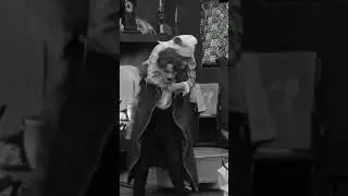 The happy ending! #dog #charliechaplin #comedy #vintage