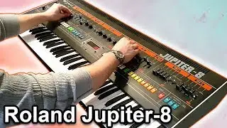 ROLAND JUPITER 8 -  Ambient Arpeggiator Soundscape 【Synth Demo】