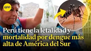 Dengue: Perú es el país que tiene la letalidad y mortalidad más alta de América del Sur