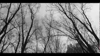 Set Me Free-Eric Webster
