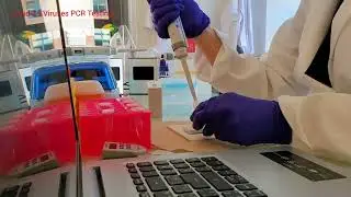 How does a medical laboratory technician process the COVID-19 tests in lab？#PCR test swab